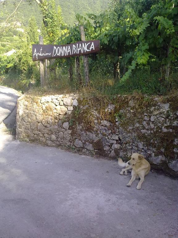 מורמאנו Agriturismo Donna Bianca מראה חיצוני תמונה